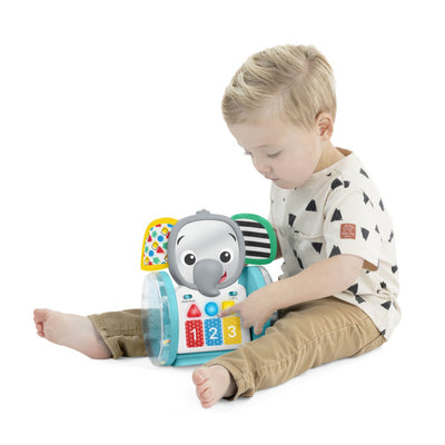 BABY Einstein Chase & Tap Earl™ kravle- og aktivitetslegetøj